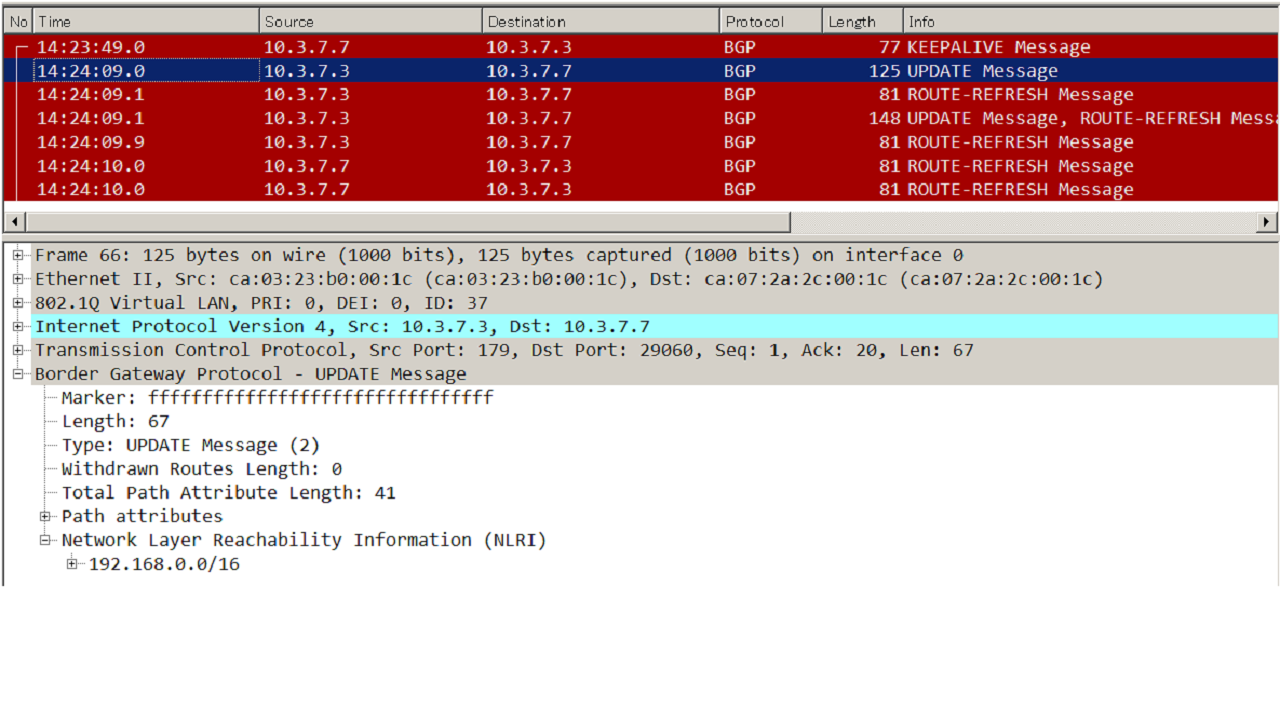 BGP aggregatetimer Logs